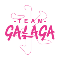 Team Galaga