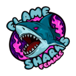 Flame Sharks Female