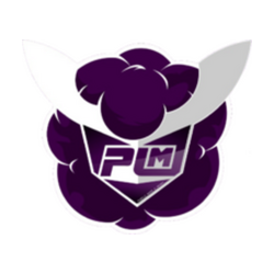 Purple Mood E-Sport