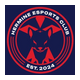 Hermine Esports Club