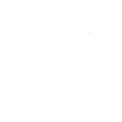 Todak