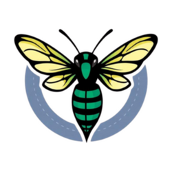 Hornets