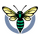 Hornets