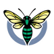 Hornets