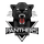 Panthers