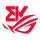 BK ROG Esports