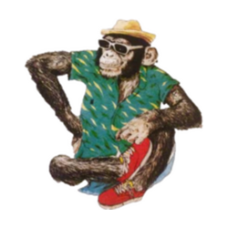 Monkey Hunters