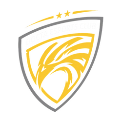 Docta Esports