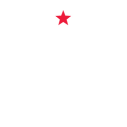 FUT Turkuaz