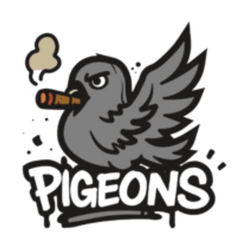 Pigeons