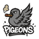 Pigeons