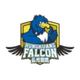 Hungkuang Falcon