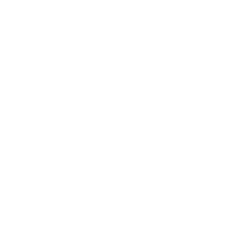 Revenant XSpark