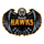 Hawks