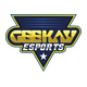 Geekay Esports