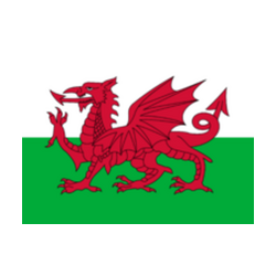 Team Wales