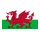 Team Wales