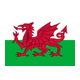 Team Wales