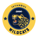 İstanbul Wildcats