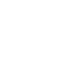 ZETA DIVISION