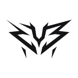 ZYB Esport
