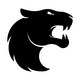 FURIA Esports