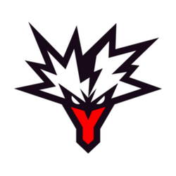 Team Yandex