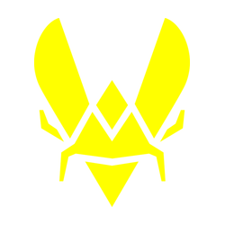 Team Vitality