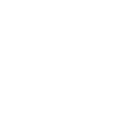 TSM