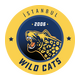 Istanbul Wildcats