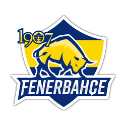 1907 Fenerbahçe Esports