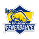 1907 Fenerbahçe Esports