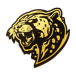 Bushido Wildcats