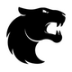 FURIA Academy