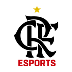 Flamengo Academy