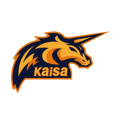 Kaisa Gaming