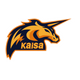 Kaisa Gaming