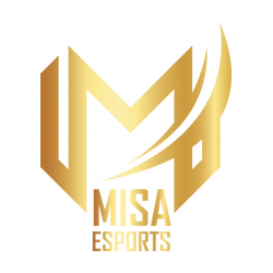 Misa Esports