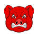 Spider Pigzs