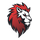 Leo Team