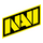 Natus Vincere