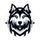 Huskies Esport