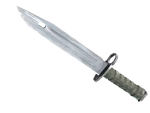 CS2 Bayonet