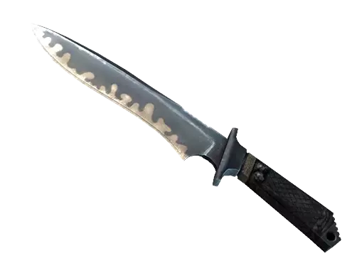 CS2 Classic Knife