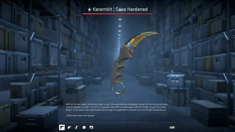 What is the most expensive skin in CS2?