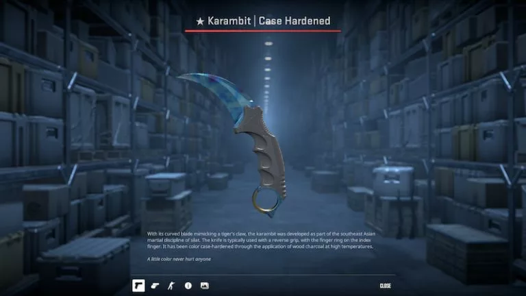 most expensive skin in CS2