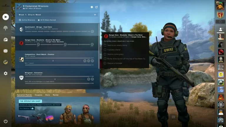 What do you get from CSGO operations?