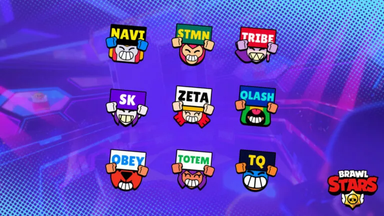 The nine orgs Supercell is tying-up with for the BSC Partner Program.