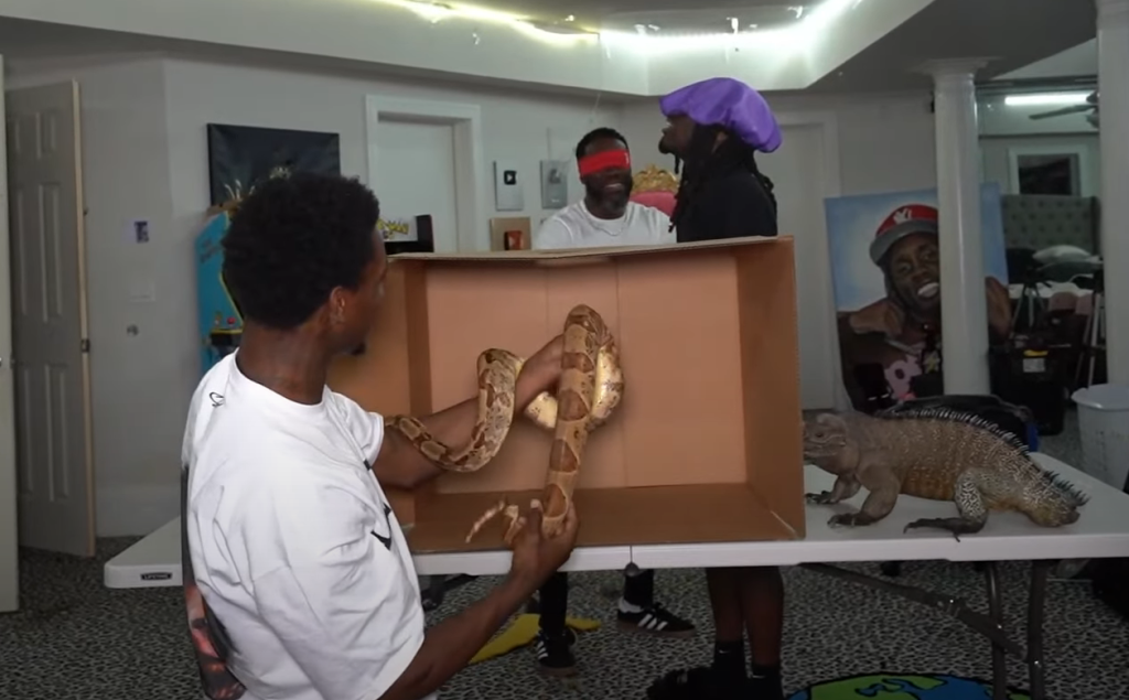 Kai Cenat and Kevin Hart Twitch stream python
