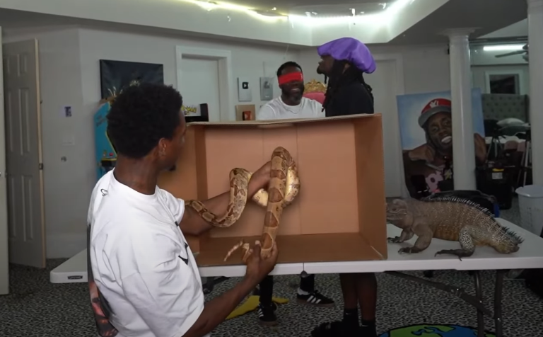 Kai Cenat and Kevin Hart Twitch stream python